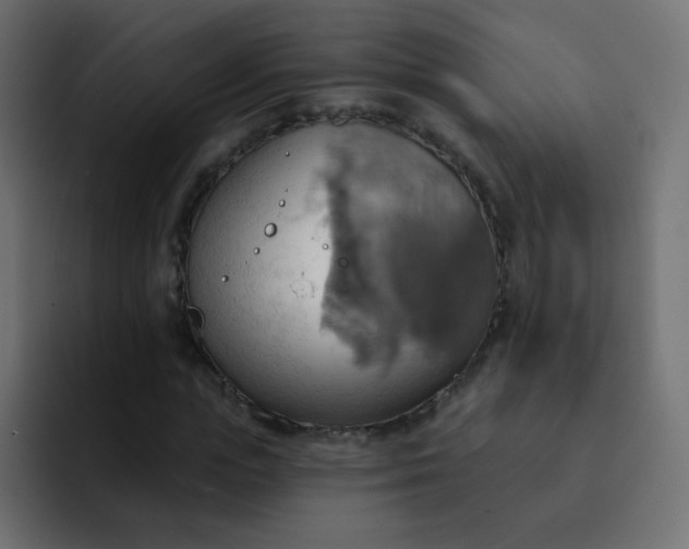 X0000092110823200710031229