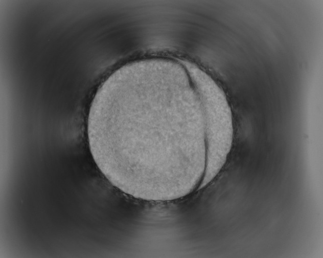 X0000092110824200710031229