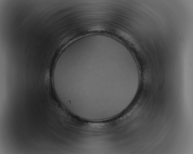 X0000092110825200710031229