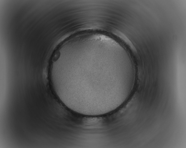 X0000092110826200710031229