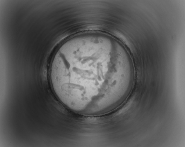 X0000092110827200710031229