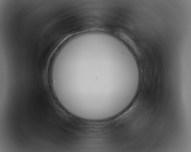 X0000092110828200710031229