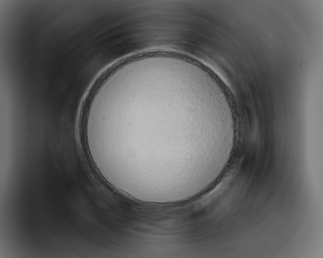 X0000092110832200710031229