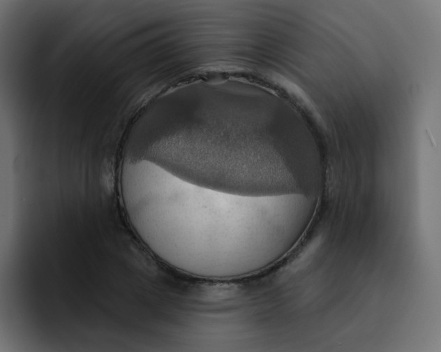 X0000092110833200710031229