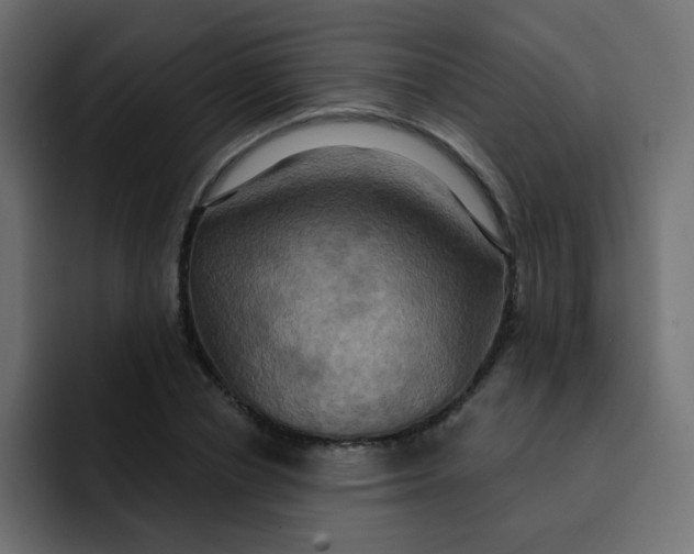 X0000092110834200710031229