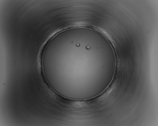 X0000092110835200710031229