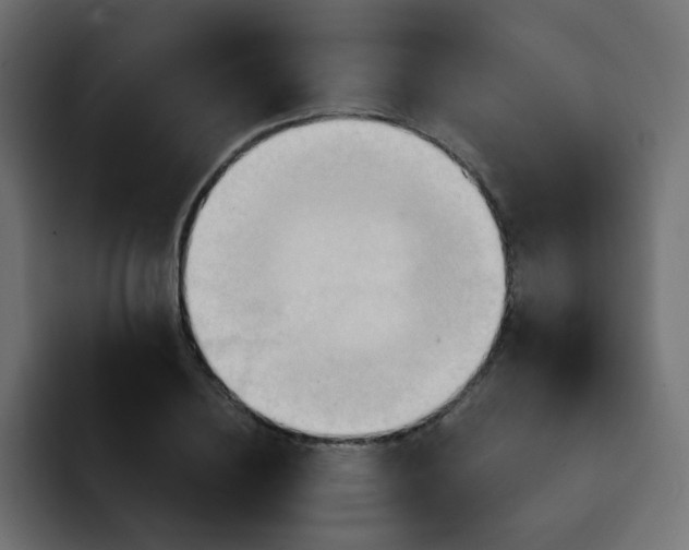 X0000092110836200710031229