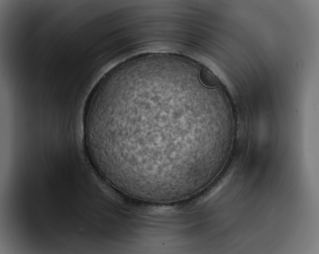 X0000092110837200710031229