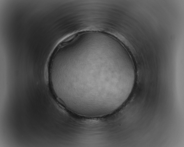 X0000092110838200710031229