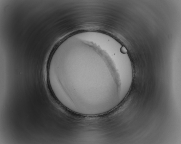 X0000092110840200710031229