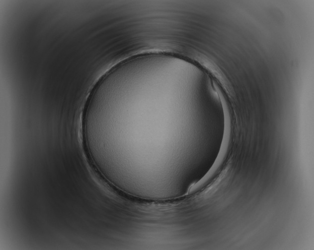 X0000092110842200710031229