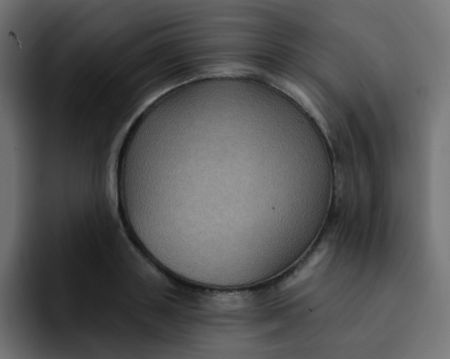 X0000092110843200710031229