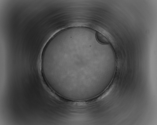 X0000092110844200710031229