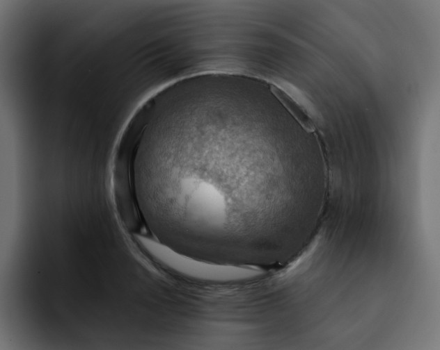 X0000092110846200710031229