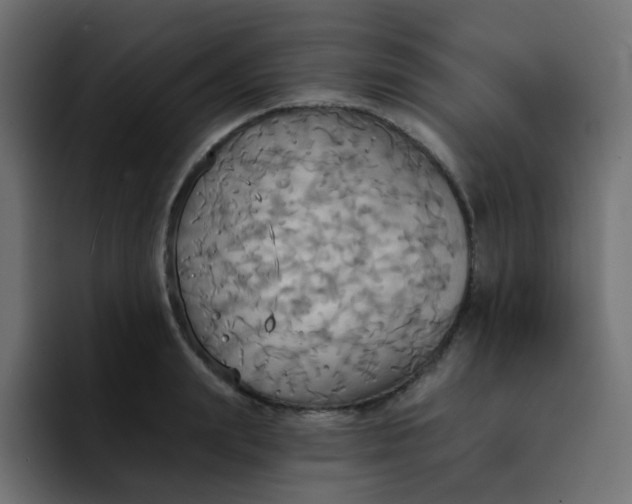 X0000092110847200710031229