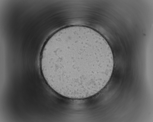 X0000092110848200710031229