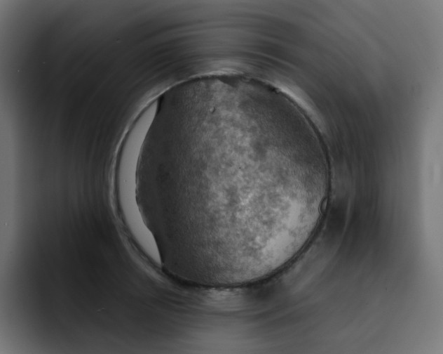 X0000092110850200710031229