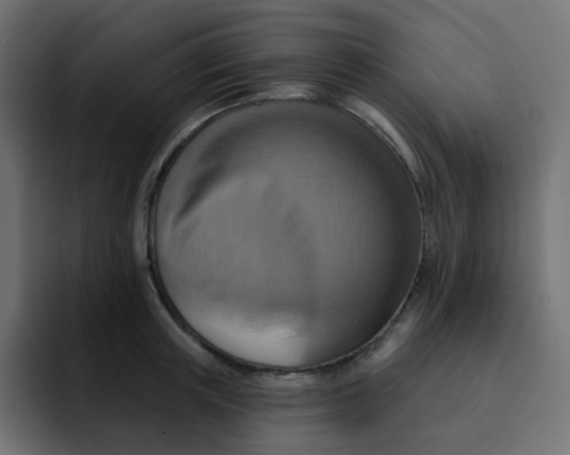 X0000092110851200710031229