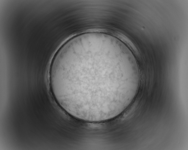 X0000092110852200710031229