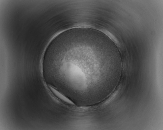 X0000092110854200710031229