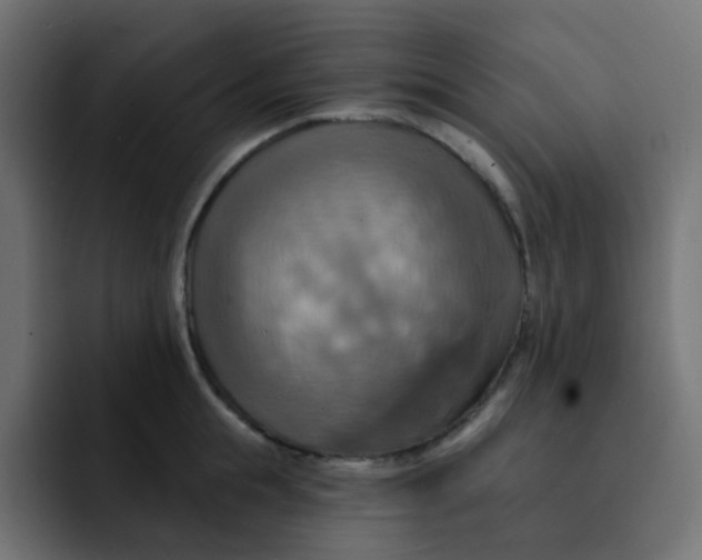 X0000092110855200710031229