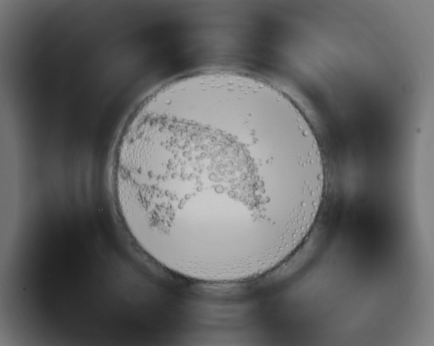 X0000092110856200710031229