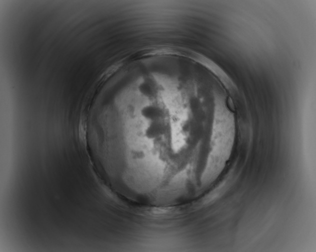 X0000092110857200710031229