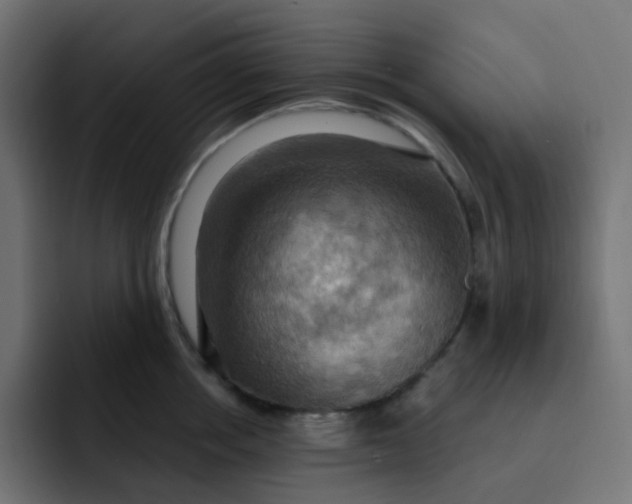 X0000092110858200710031229