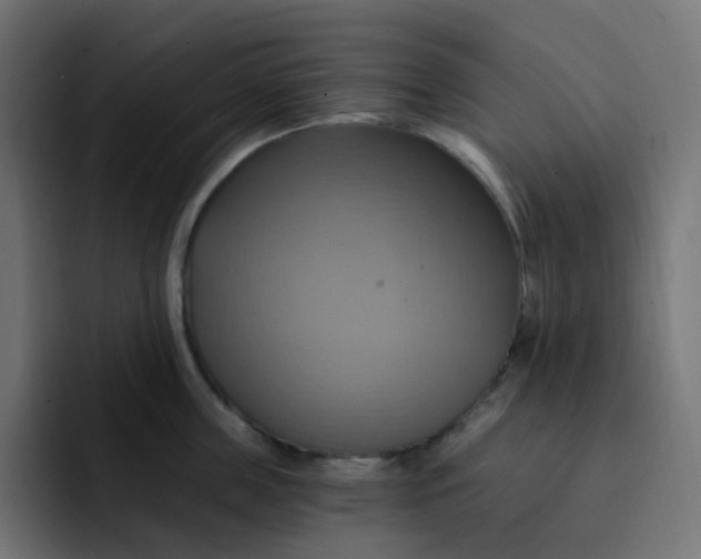 X0000092110859200710031229