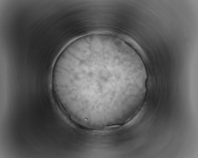 X0000092110860200710031229