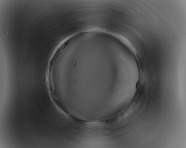 X0000092110863200710031229