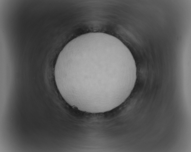 X0000092110865200710031229