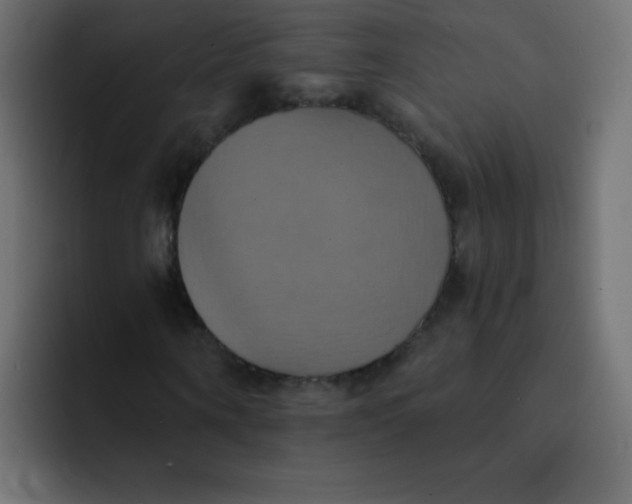 X0000092110866200710031229