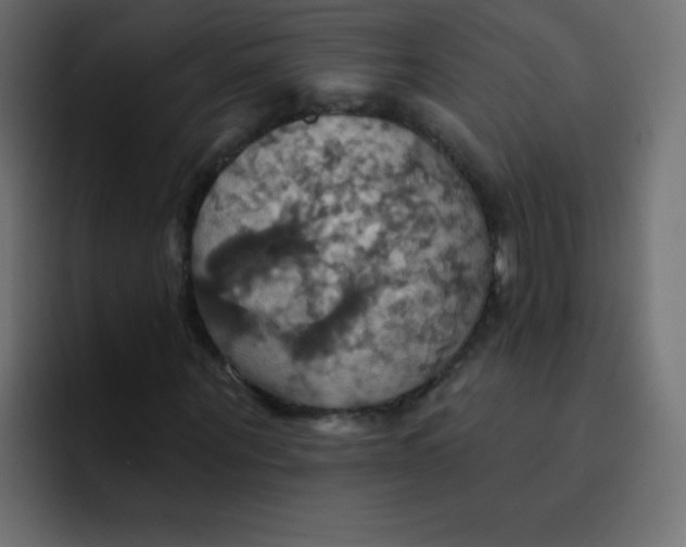 X0000092110867200710031229