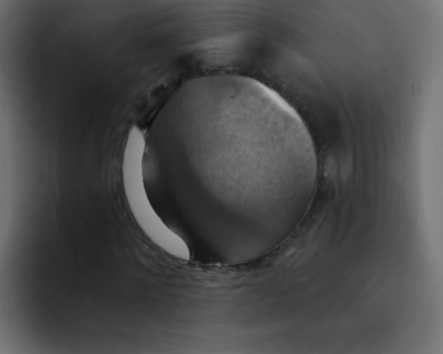 X0000092110868200710031229