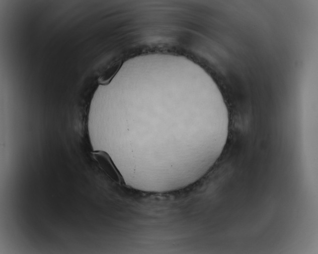 X0000092110869200710031229