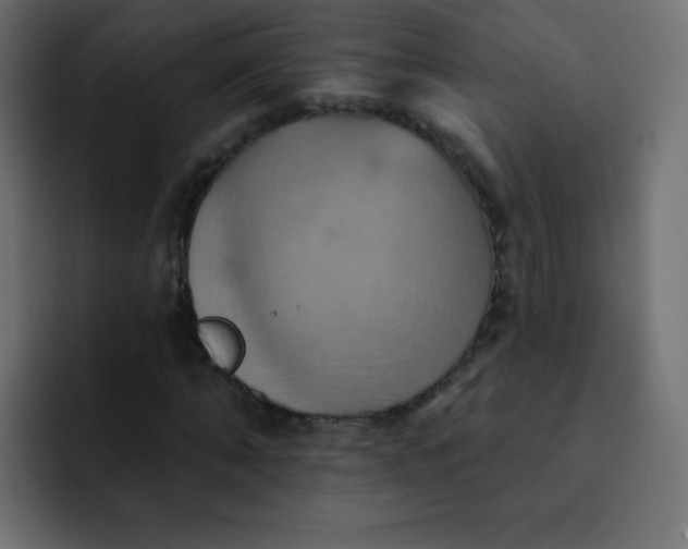 X0000092110870200710031229