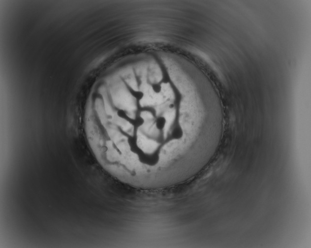 X0000092110871200710031229