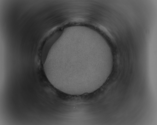 X0000092110872200710031229