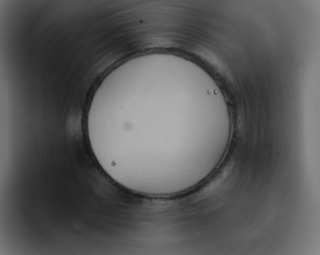 X0000092110873200710031229