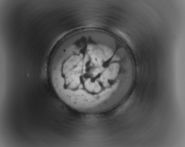 X0000092110875200710031229