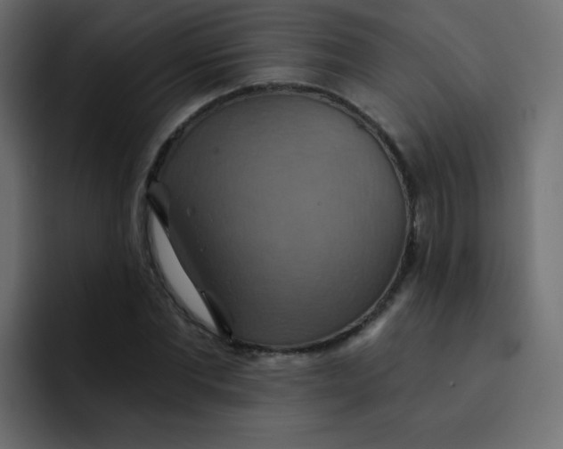 X0000092110877200710031229