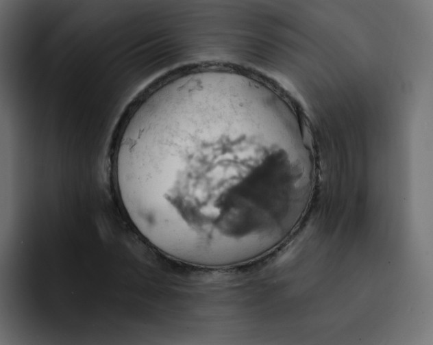 X0000092110879200710031229