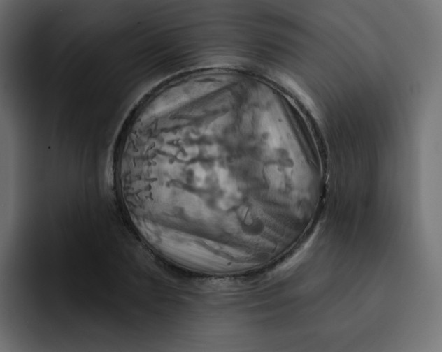 X0000092110883200710031229