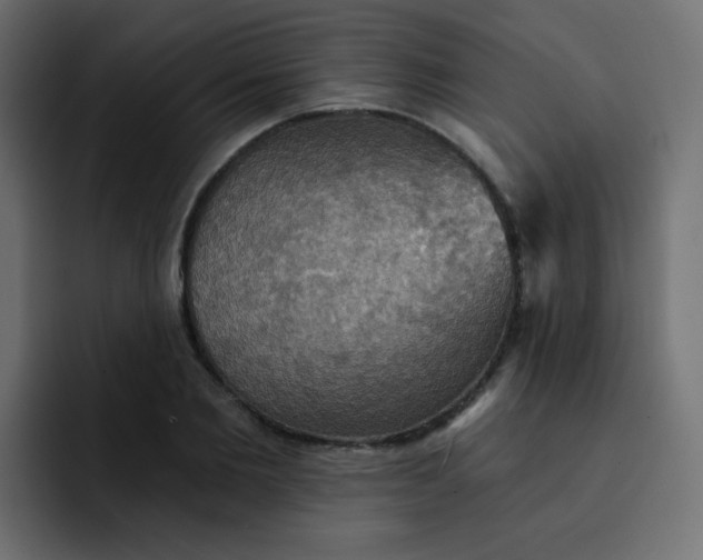 X0000092110885200710031228