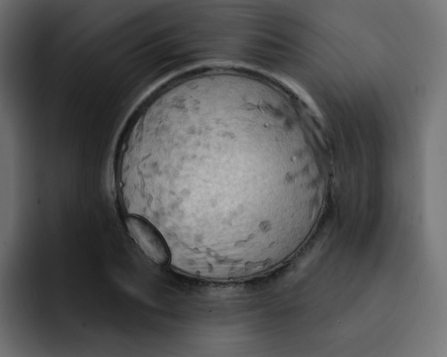 X0000092110887200710031228