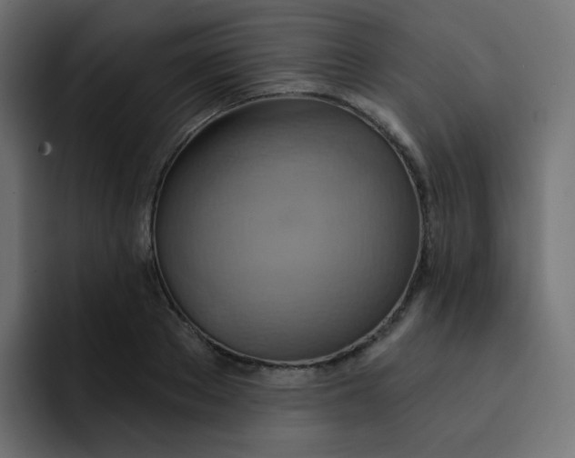 X0000092110889200710031228