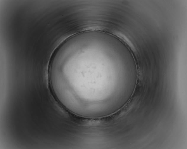 X0000092110890200710031228