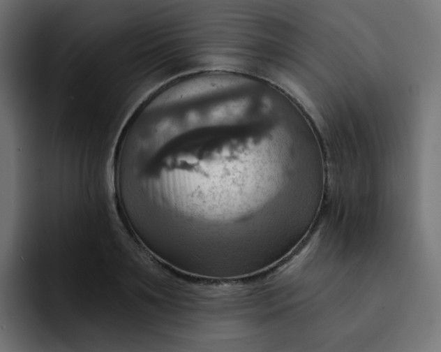 X0000092110891200710031228