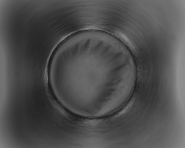 X0000092110892200710031228